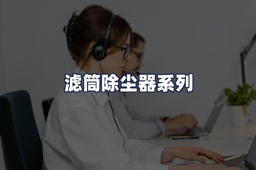 滤筒除尘器系列
